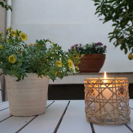 Stanze Dello Scirocco 3* نوتو